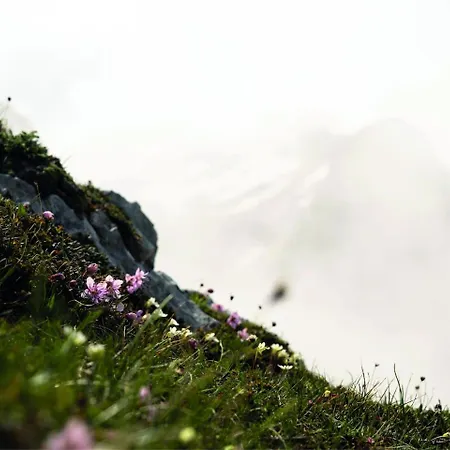 Nomad 27 アパート *