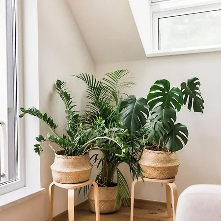 Nomad 27 アパート