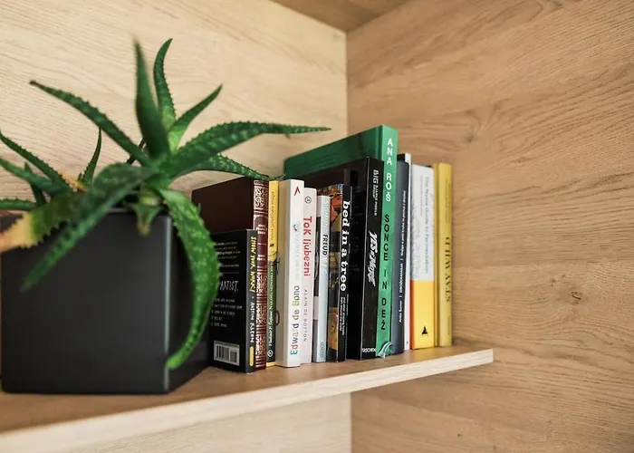 Nomad 27 דירה בובק